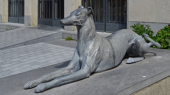 Chien de Jean de Nivelles